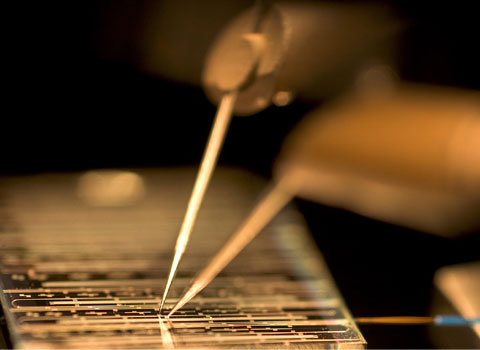 最新全球Top 50無晶圓廠IC業者　9家在中國