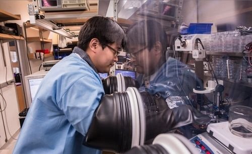 新式半導體焊料刷新10倍電遷移率紀錄